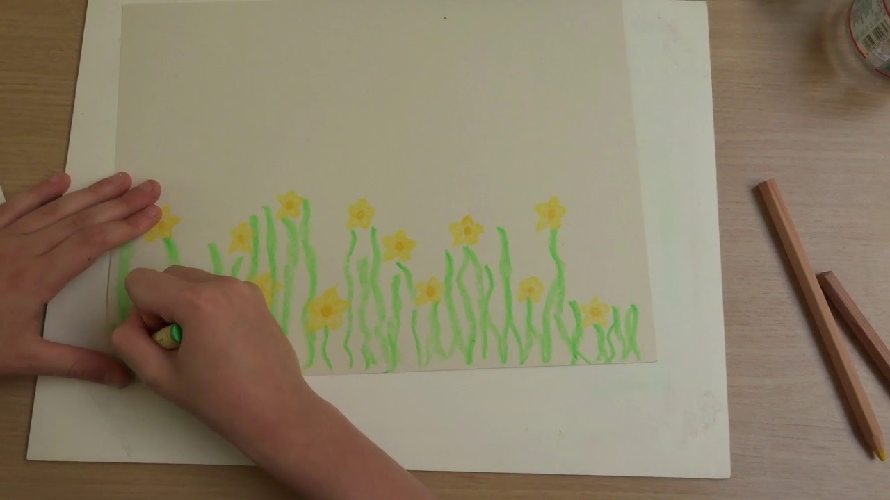 Plantkunde klas 5 De boterbloem