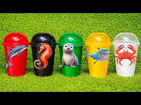 What's Inside Color Cups? Surprise Toys Reveal | Kids Toy Unboxing
