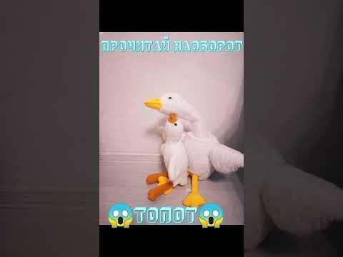 ГУСЬ ОПЯТЬ ВЕРНУЛСЯ И СЛОМАЛ ЛОГИКУ НО НЕ ОДИН😱ПОСМОТРИТЕ ОПИСАНИЕ😖