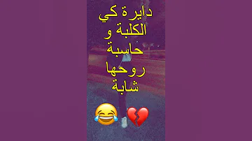 دايرة كي الكلبة وحاسبة روحها شابة 