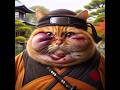 Ninja cat#cat #cute #funny