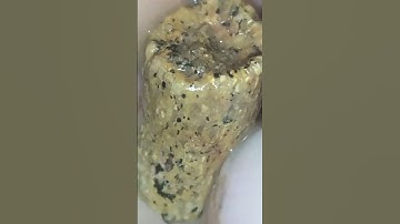 RockHounds, we found a Crinoid Fossil in a Prehistoric River Bed