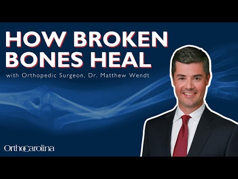 How Broken Bones Heal with Orthopedic Surgeon Dr. Matthew Wendt