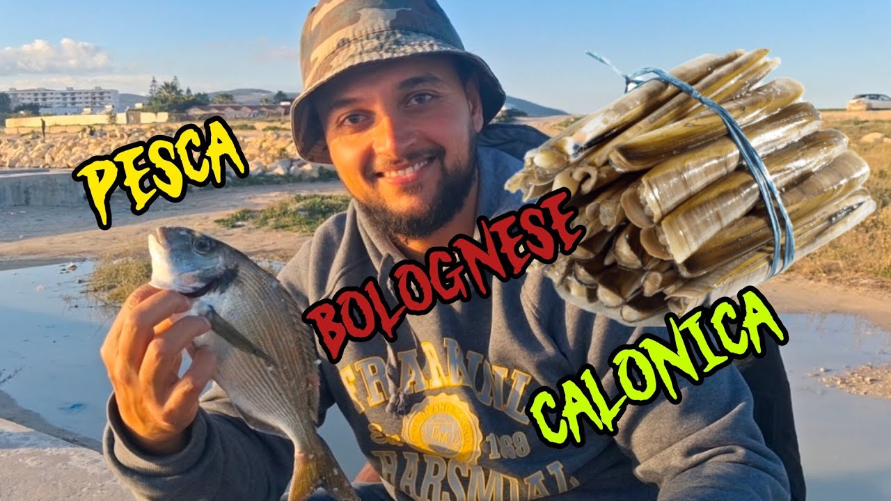 Peche anglaise bolognese (الطعم كالونيكا)