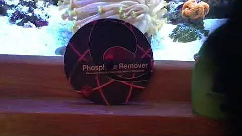 Quantum phosphate remover marine aquarium