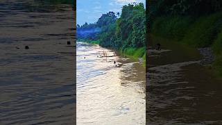 latihan komando#shorts #ytshorts #subscribe #fyp #viral #funny