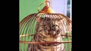 Getting Unstuck Wealth