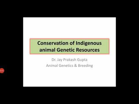 Conservation of Indigenous Animal Genetic Resources