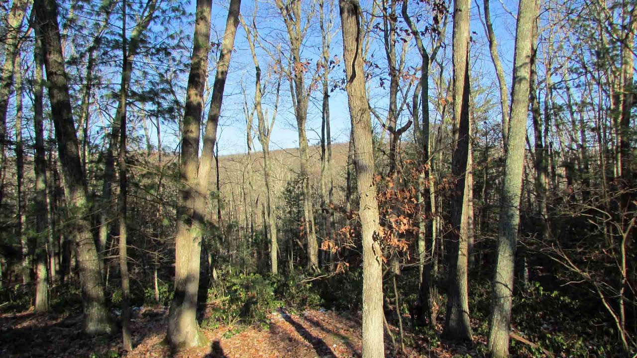 Land of "Hope & Dreams" .46 Acre Corner Building Lot Wurtsboro, NY