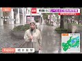 秋雨前線で大雨続く　飛騨川に「レベル4氾濫危険警報」富士山では土砂崩れも…雨のピークは10日朝にかけ警戒【Nスタ解説】｜TBS NEWS DIG