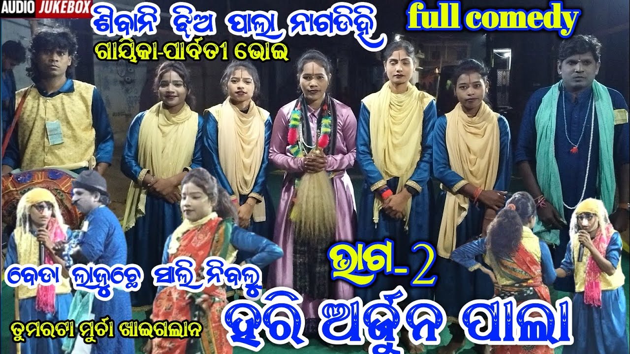 Nagdihi Jhia pala || sibani Jhia pala nagdihi || hari arjun pala || ms sambalpuria ||pala #tukelpala