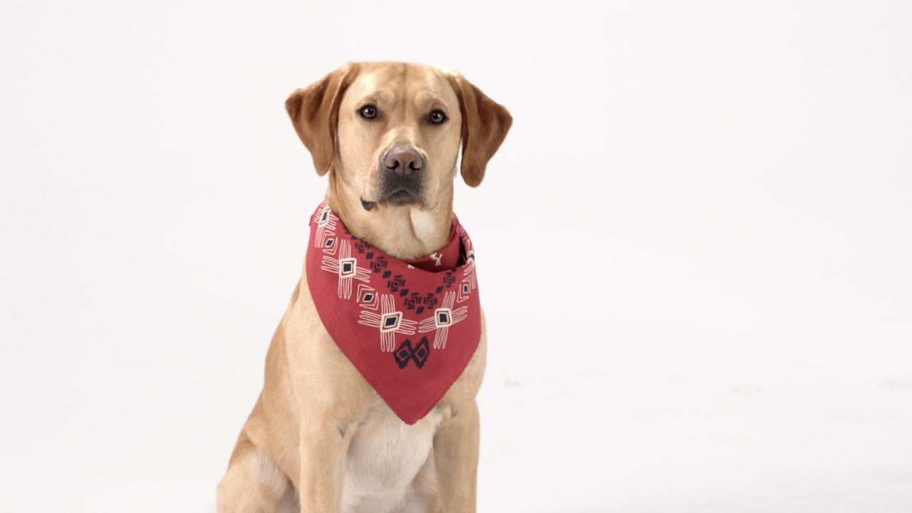 Patagonia Organic Cotton Bandana