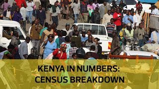 Kenya in numbers: Census breakdown