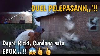 Merpati Lombok _Poin Satu Ekorr//Duel Maut Merpati Lombok,!!! 😱👍👍 Part 01