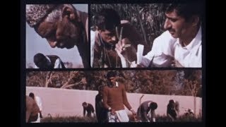 Horizontes: La Revolucion Verde (The Green Revolution)