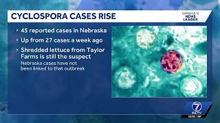 Nebraska cyclospora update: Douglas County cases climb as Iowa reports possible outbreak link