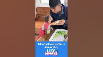 Lily helps dad prepare lunch after school P4 #shorts #short #monkey