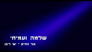 Video thumbnail of "שלמה זיכל ועמיחי דהן - אור החיים [קאבר לישי ריבו]"