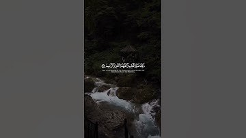 سورة السجدة #تلاوة_خاشعة #قرآن #اكسبلور