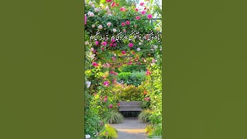 سورة الصف آيه ١١ #رحمة_للعالمين #قرآن #مكة