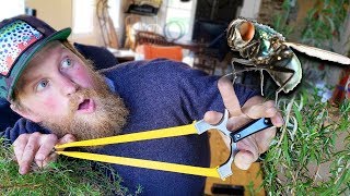 Fly Hunting With A Slingshot GZK  G-Shot | Trick Shot Tuesday Ep. #7