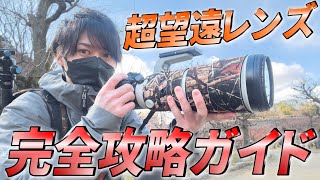 【買え】初心者必見！超望遠レンズ完全攻略講座！【買え】