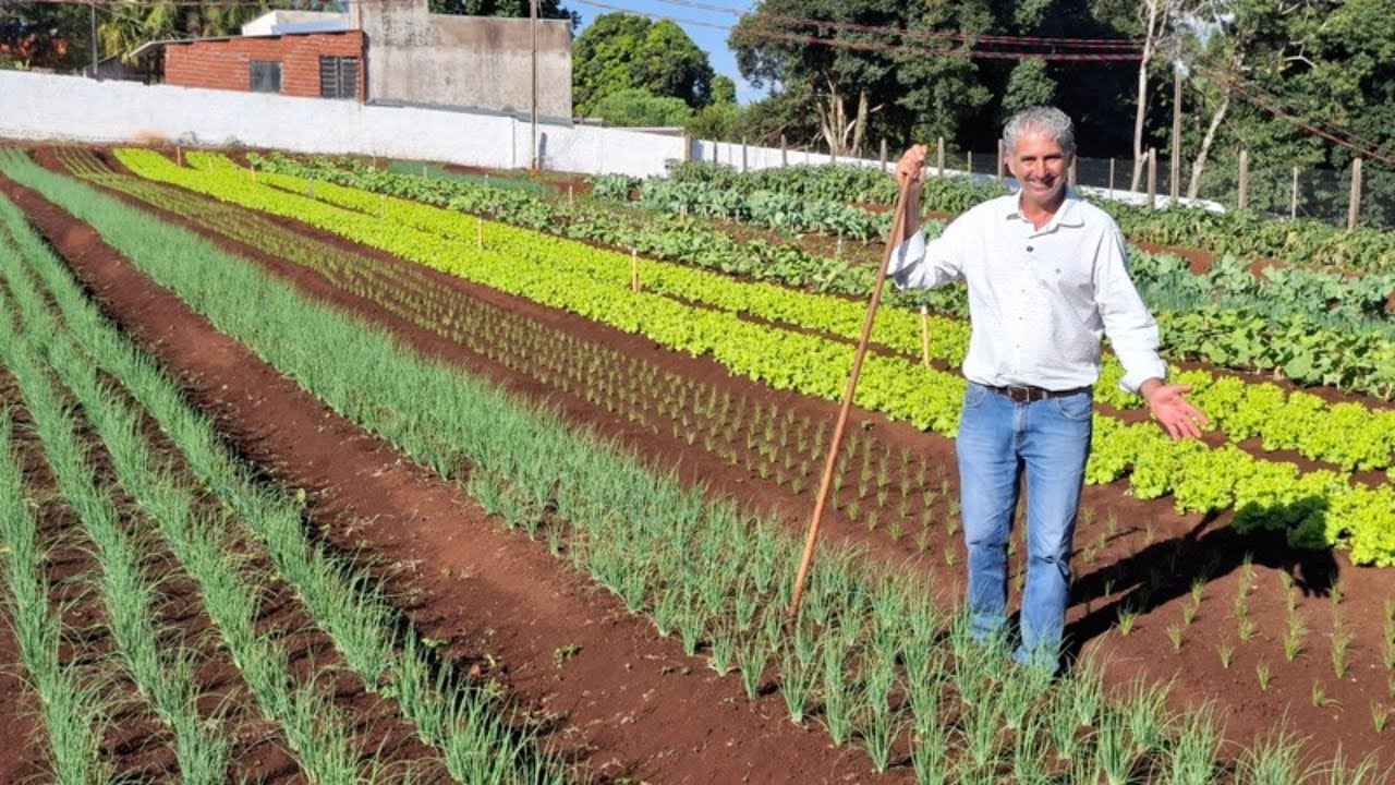 5 VARIEDADES QUE NÃO PODEM FALTAR NA SUA HORTA