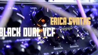 Erica Synths- Black Dual VCF demo sound 2