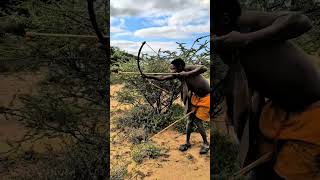 Epic Scene! Hunter Follows the Big Catch! Caçador segue captura! शिकारी ने बड़े शिकार का पीछा किया!