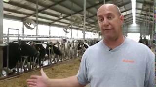 Iowa Dairy Farms Depend on the Immigrant Labor Force