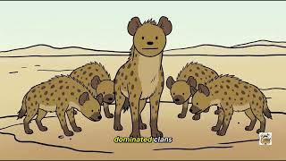 Why Do Hyenas Laugh While They're Being Eaten Alive? Why Animals Do That