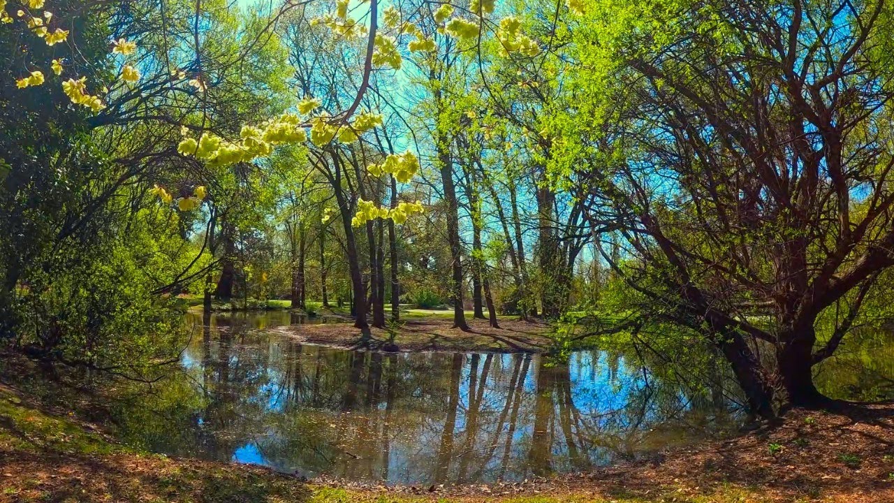 Nature retreats of Central Victoria 🍃