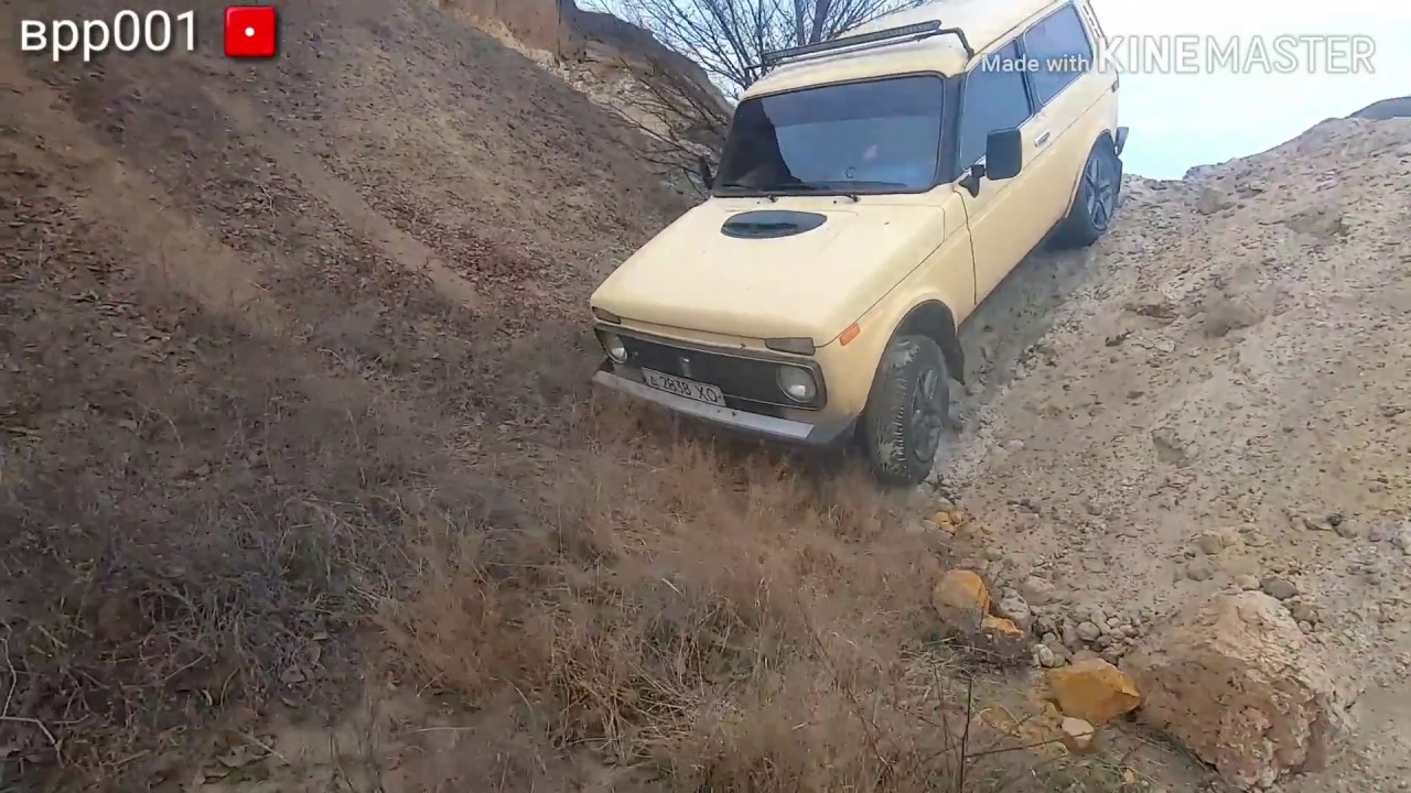 Нива по песку