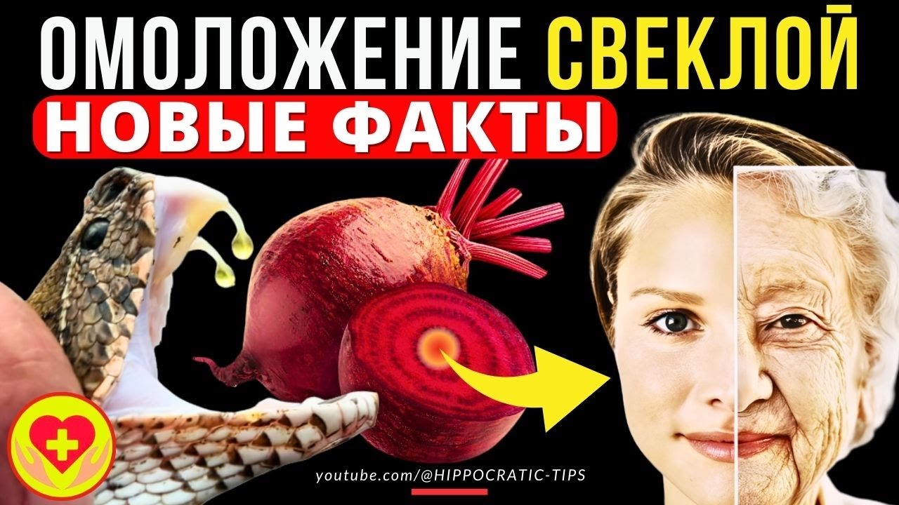Свекла Польза и Вред Противопоказания | Новые Факты и Секреты ...