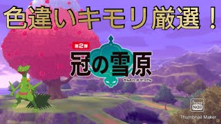 ポケモン剣盾 色違いキモリ厳選 Youtube ポケモン剣盾 色違いキモリ厳選 Youtube