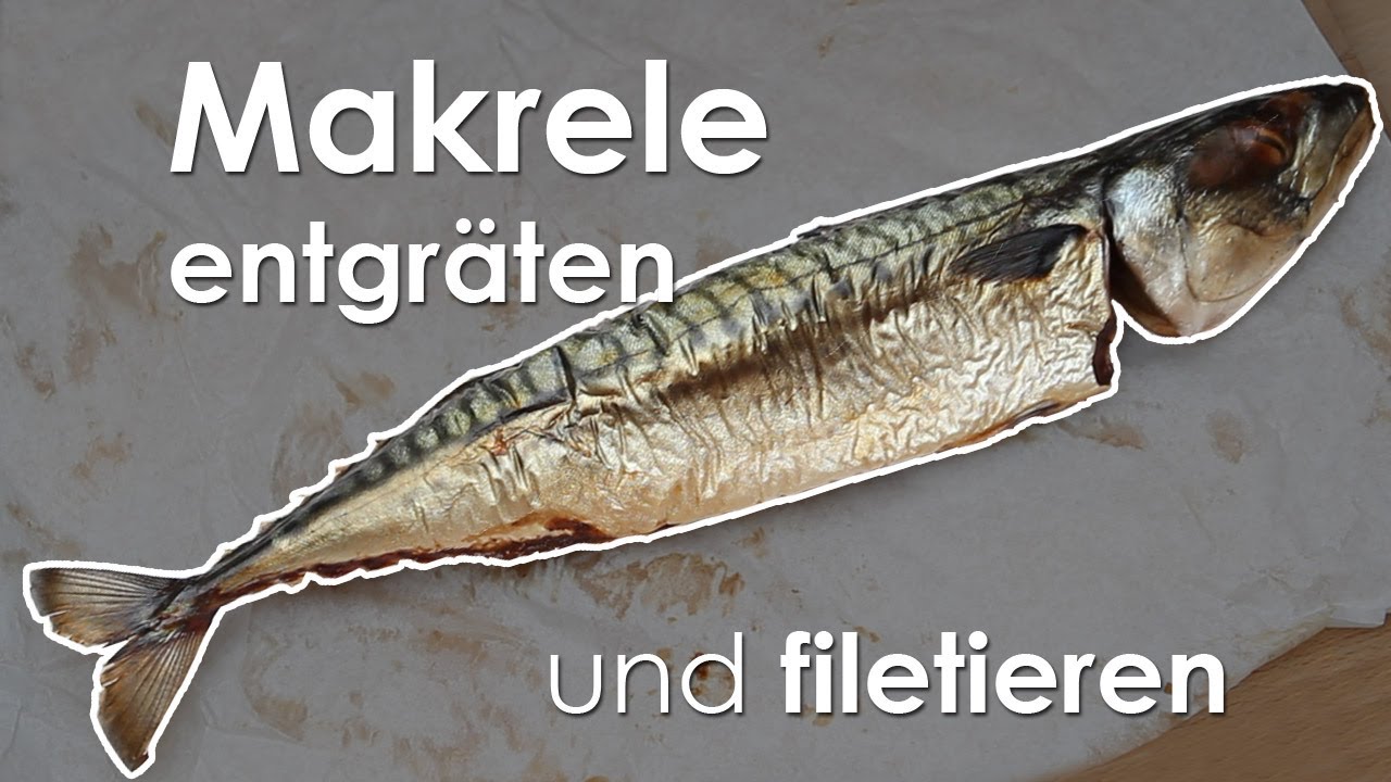 Jenzi Makrelen-Vorfach B-2 - Ködercombination Mit 4 Haken Für Makrelen Und Dorsch