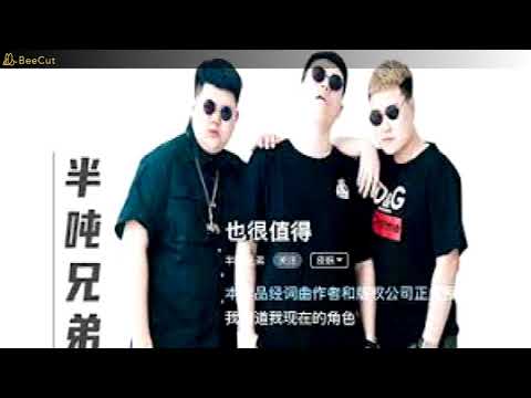 半吨兄弟—付豪 —  也很值得 Remix 2021  V2   DJ版 Cũng Rất Đáng Giá — Phó Hào —Remix 2021