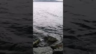 Yaş35 Şiiri Kendi Sesinden