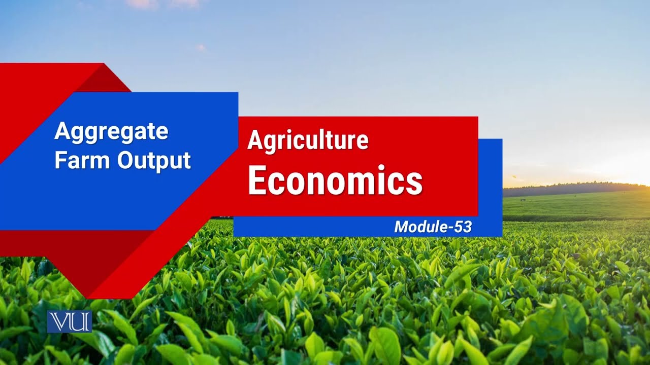 Aggregate Farm Output | Agricultural Economics | ECO608_Topic053