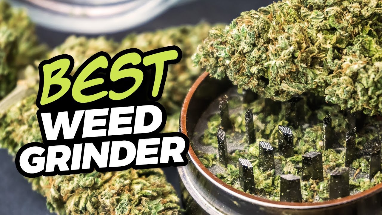 Лучшие измельчители травы: лучшие, худшие и самые странные