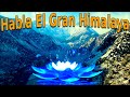 Habla el gran himalaya