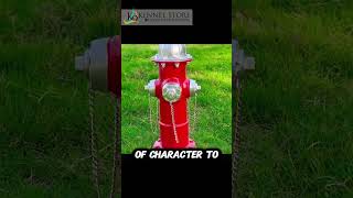Best Dog Potty Training Hack — Fake Fire Hydrant!