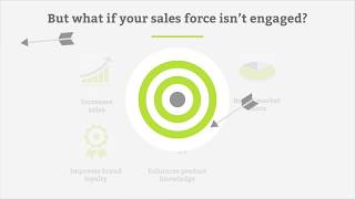 Sales Incentives video