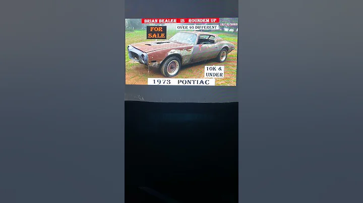 Oh your upset 😂🤣😂SUBSCRIBE & I’ll Roundem Up for Ya 👍👍👍