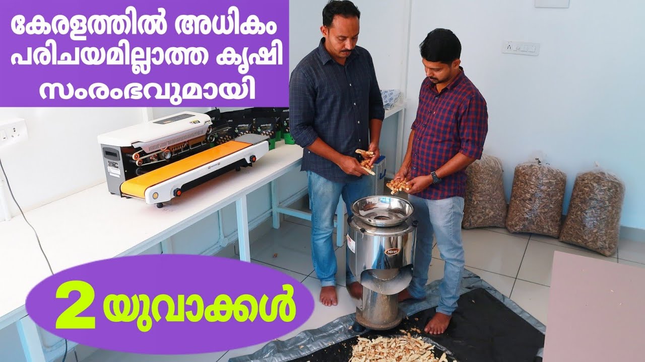 കേരളത്തിൽ അധികം പരിചയമില്ലാത്ത കൃഷി സംരംഭവുമായി 2 യുവാക്കൾ | organic turmeric | FZ ROVER | Malayalam
