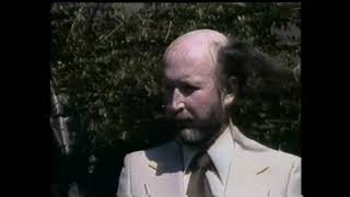 A Comb Over Or Combover? Heir Today Gone Tomorrow Wig