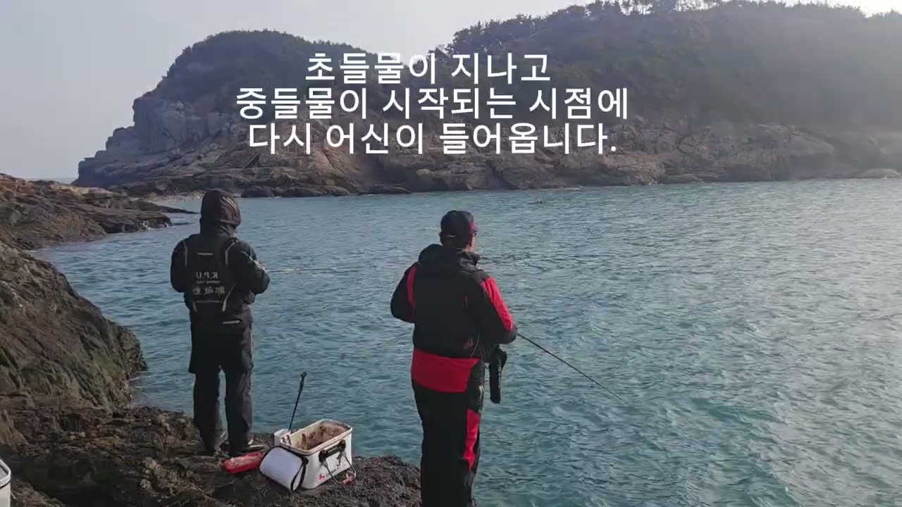 추자군도 2일차 다무래미(1부) 진격의 감성돔!!!