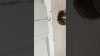 IMG 32721