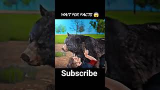 Black Bear Attack 😱| Father–Son Ki Hairat Angaiz Kahani | Real Life Survival Story#shorts #facts