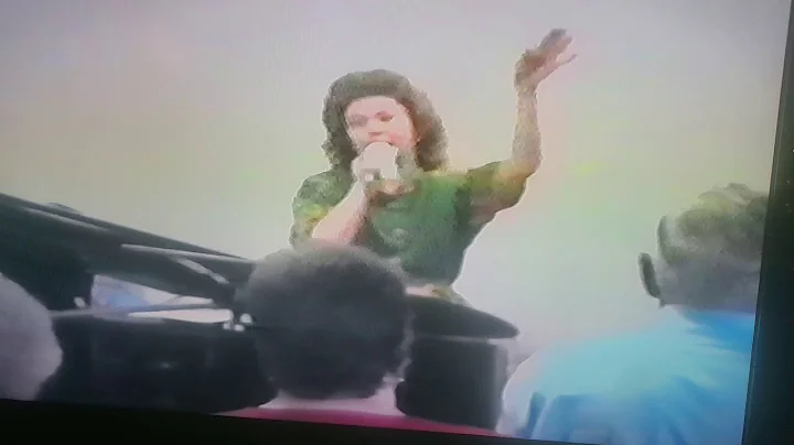 It's Raining - Shirley Perry
